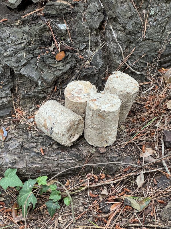 Bûchettes allume-feu en bois recyclé Flam & Co — fabriquées par des élèves du Lycée Chevrollier d'Angers